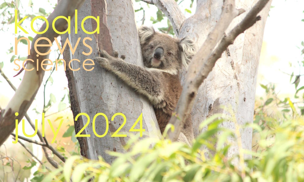 koala news science july 2024