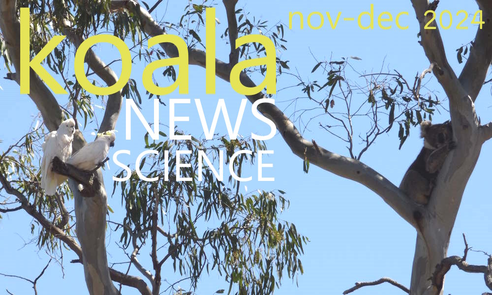 Koala News & Science Nov-December 2024